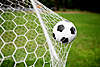     
: But-Football--beachboyx10-Fotolia.com_.jpg
: 977
:	79.8 
ID:	11885