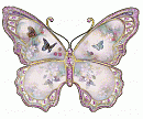   Butterfly19