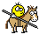 Kinght