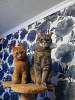     
: IMG_20150128_083406.jpg
: 768
:	70.8 
ID:	10069