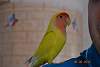     
: DSC_0674.jpg
: 801
:	29.3 
ID:	10072