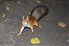     
: x_19d95609.jpg
: 373
:	58.2 
ID:	2667