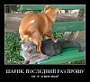     
: 076.jpg
: 917
:	51.3 
ID:	2673