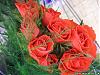     
: 843185345.jpg
: 1095
:	60.3 
ID:	2786