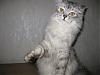     
: IMG_2241.jpg
: 505
:	81.6 
ID:	3454