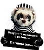     
: 0_8495_6c8f7ec2_XL.jpg
: 763
:	15.6 
ID:	3559