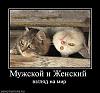     
: 083.jpg
: 1179
:	51.1 
ID:	3572