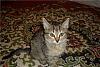     
: f5eb9cd9b686.jpg
: 589
:	66.8 
ID:	3725