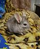     
: DSC_0631.JPG
: 729
:	50.6 
ID:	4960
