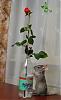     
: DSC_0675.JPG
: 807
:	40.9 
ID:	4961