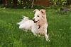     
: IMG_8848.JPG
: 459
:	39.9 
ID:	5717