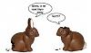     
: x_61564b4d.jpg
: 273
:	22.2 
ID:	5922