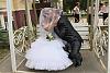     
: x_e7e229d0.jpg
: 333
:	58.7 
ID:	5961