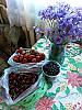     
: 20130619_194934.jpg
: 347
:	72.8 
ID:	6728