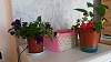     
: 20140517_165342.jpg
: 317
:	342.1 
ID:	7523