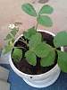     
: 20150602_091245.jpg
: 546
:	77.8 
ID:	9443