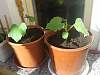     
: 20150605_073354.jpg
: 777
:	75.9 
ID:	9516