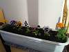     
: 20150606_084801.jpg
: 1485
:	64.5 
ID:	9517