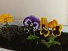     
: 20150606_084742.jpg
: 773
:	57.3 
ID:	9518
