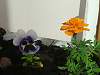     
: 20150606_084731.jpg
: 846
:	60.8 
ID:	9519