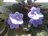     
: 20150613_154621.jpg
: 873
:	74.0 
ID:	9520