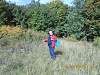     
: image (4).jpg
: 320
:	550.3 
ID:	9768