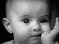  Tova